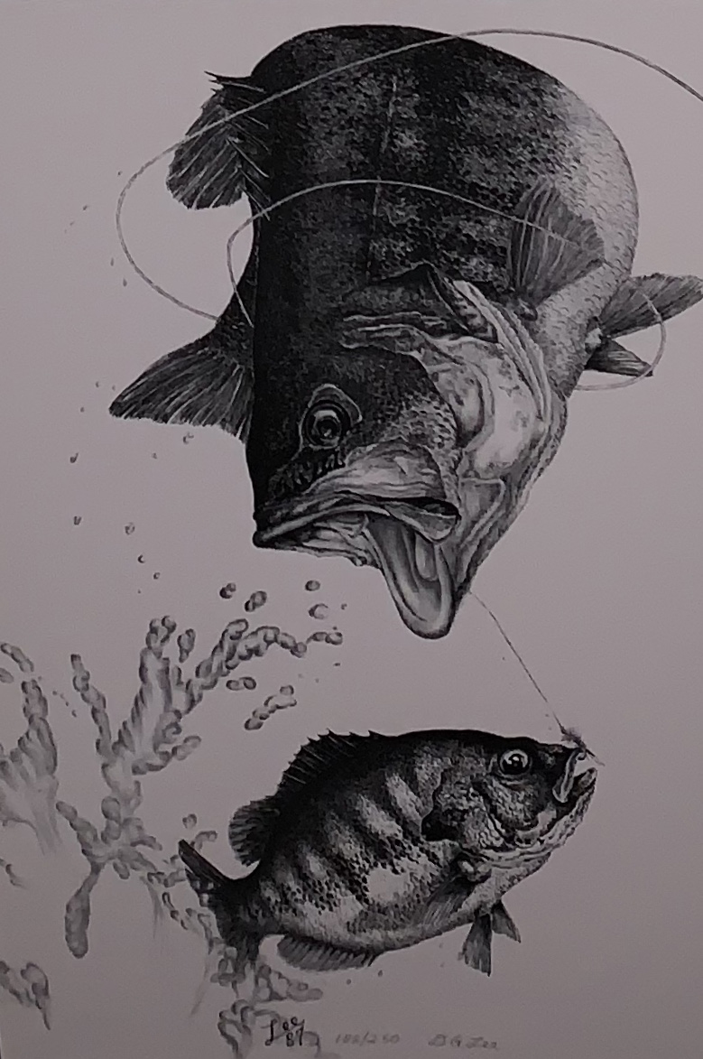 Bass and bluegill, pen & Ink Drawing by Michigan artist 