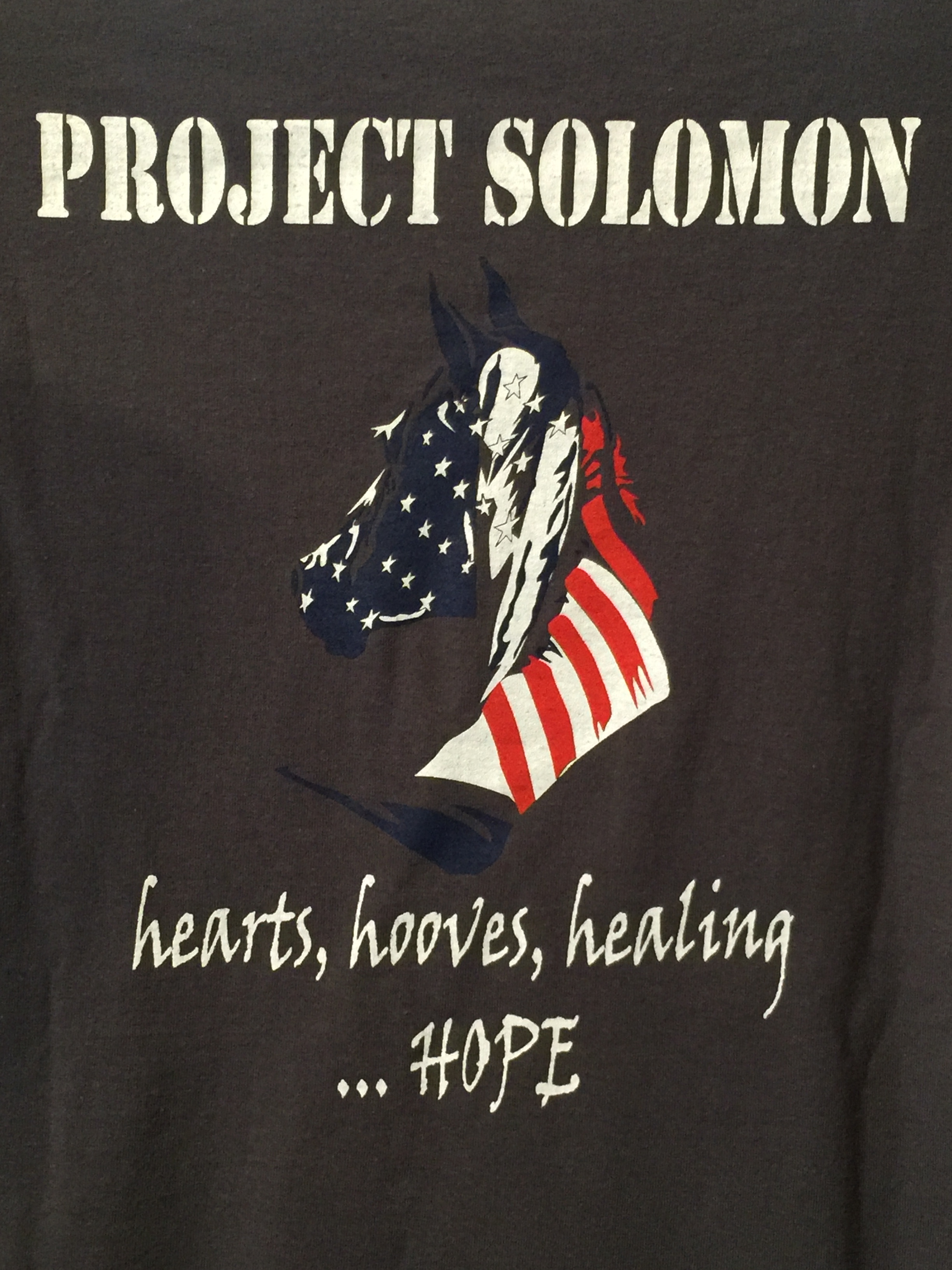 Image of  "Project Solomon"