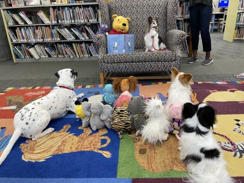 Image of dogs listening to a story being read.