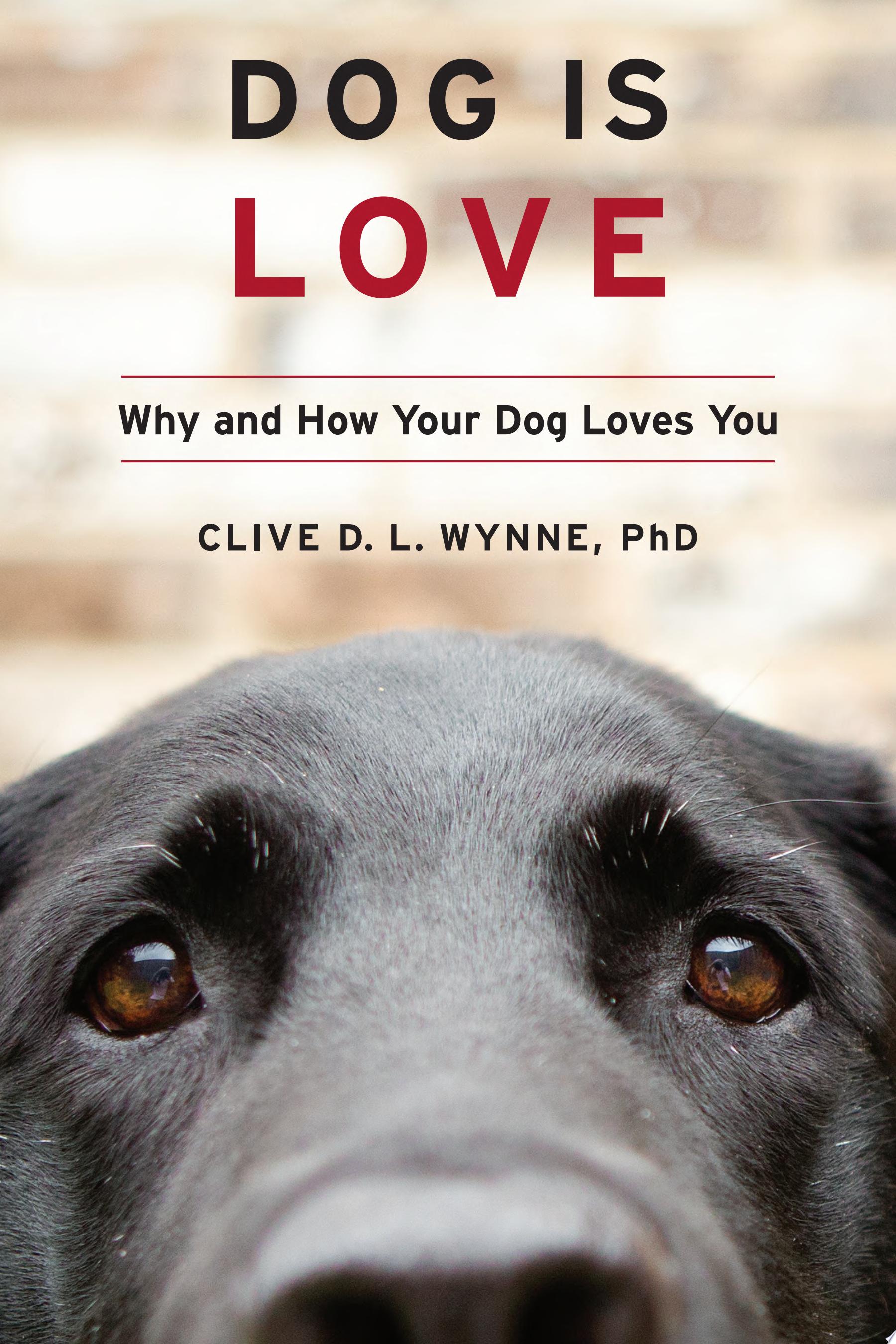 Image for "Dog Is Love"