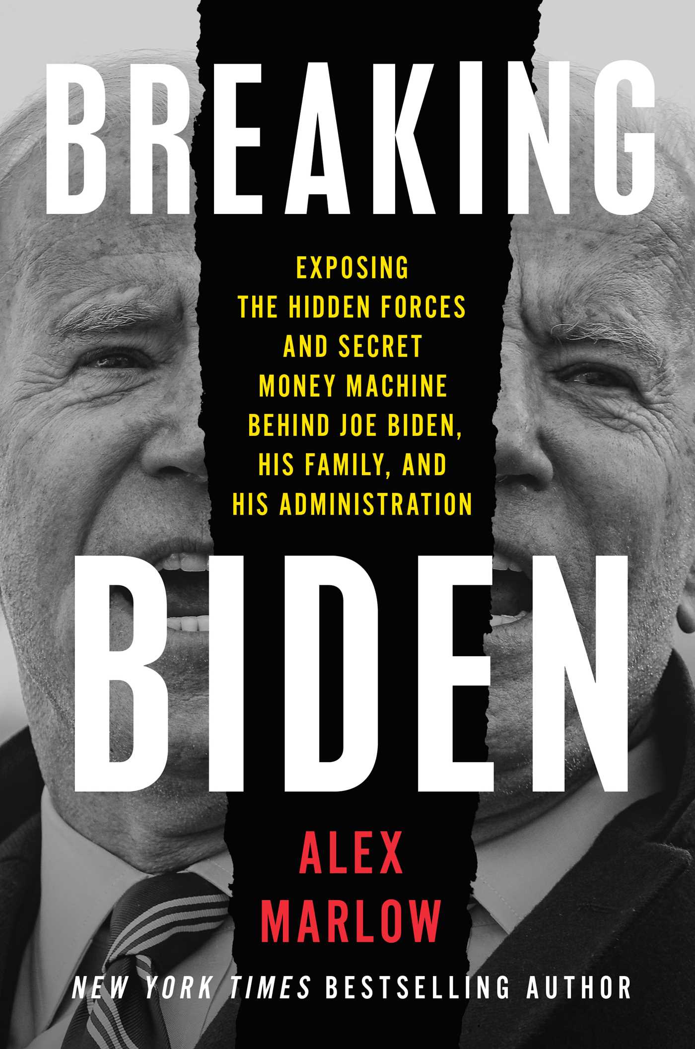 Image for "Breaking Biden"