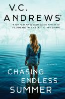 Image for "Chasing Endless Summer"