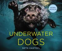 Image of "Underwater Dogs"