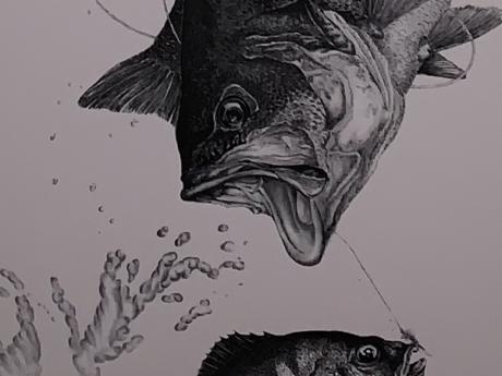 Bass and bluegill, pen & Ink Drawing by Michigan artist 