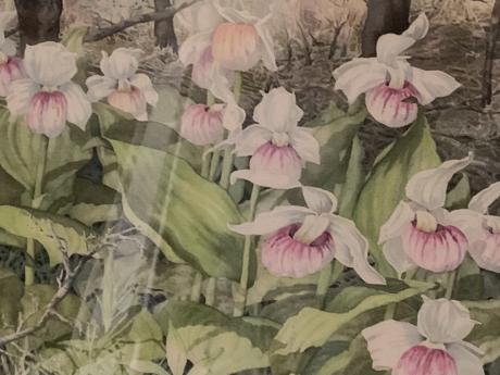Watercolor painting inspired by nature by Local Michigan artist