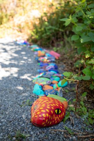 Image of painted stones laid together to create a garden "snake".