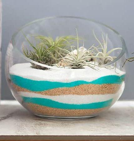 Image of Sand Art Terrarium