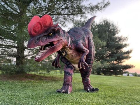 Image of "Doddi," a life sized T-Rex costume.