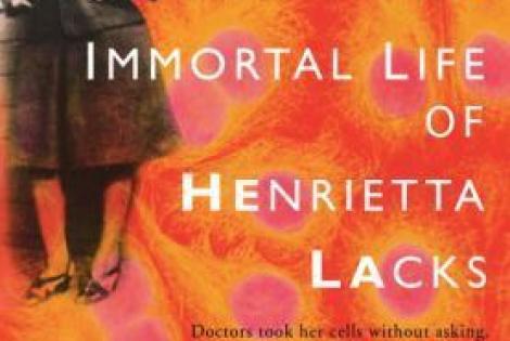 Cover of "The Immortal Life of Henrietta Lacks"